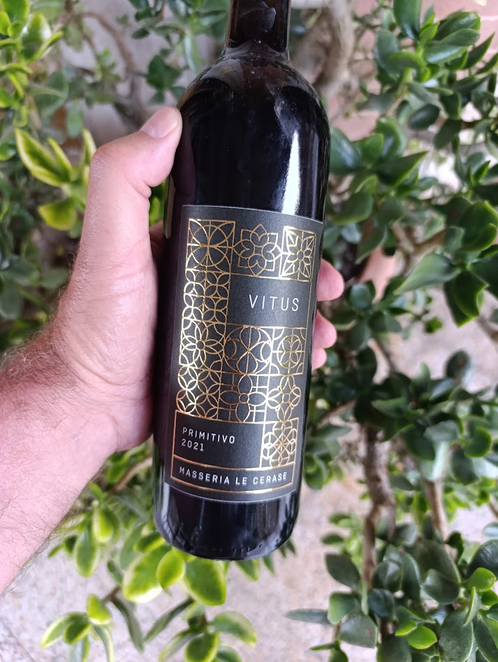 The olive grove rows 2