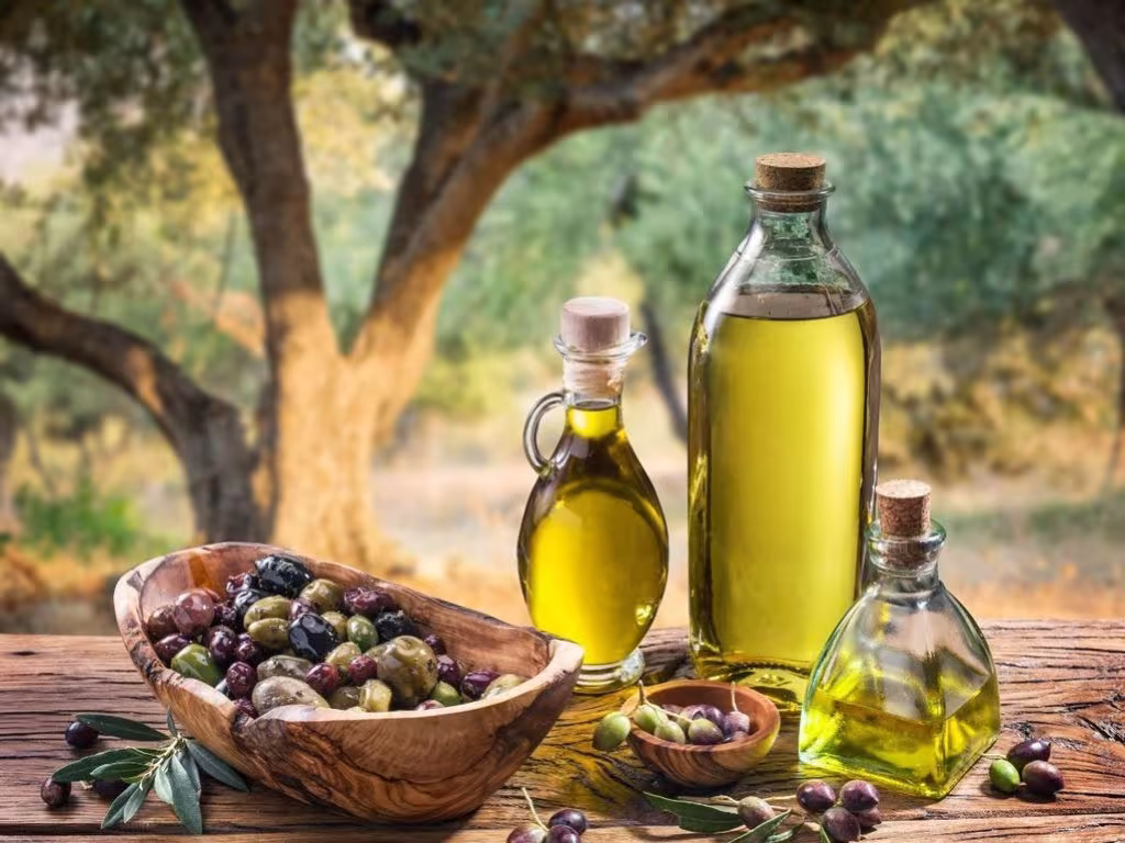 The olive grove 1