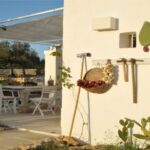 The whole estate among the olives 11