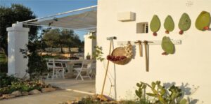The whole estate among the olives 12