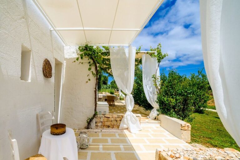 The whole estate among the olives 10