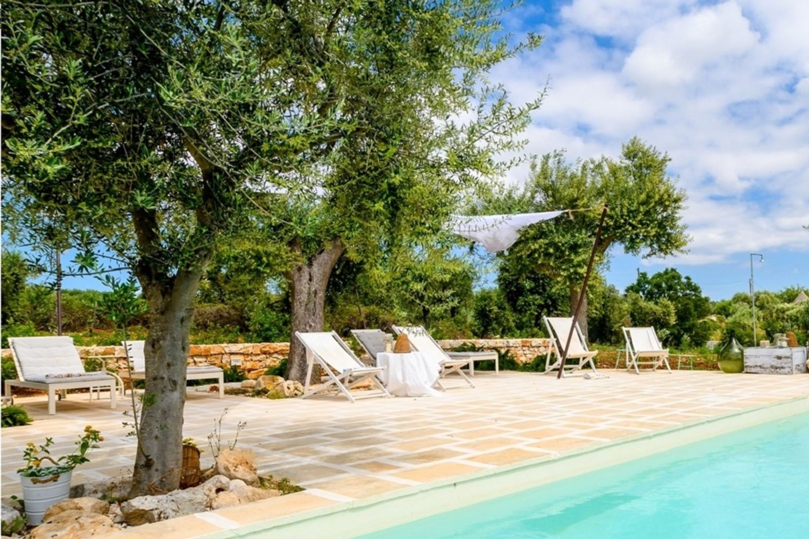 The garden among the olives