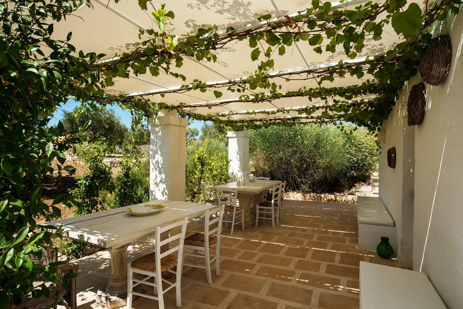 Dining under the pergola