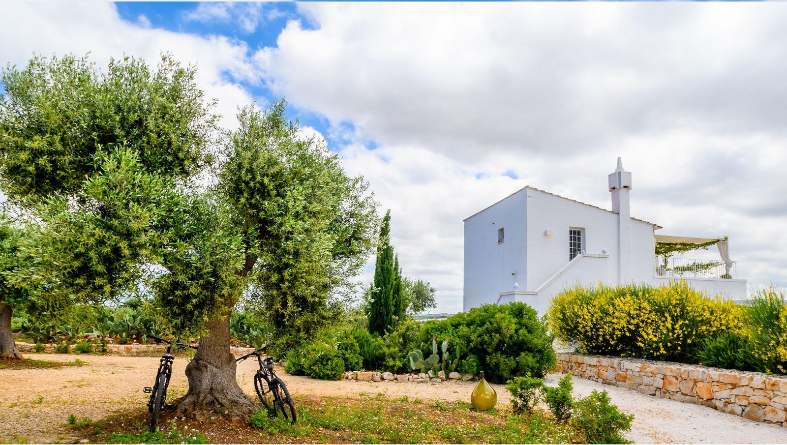Masseria Montefieno — the estate