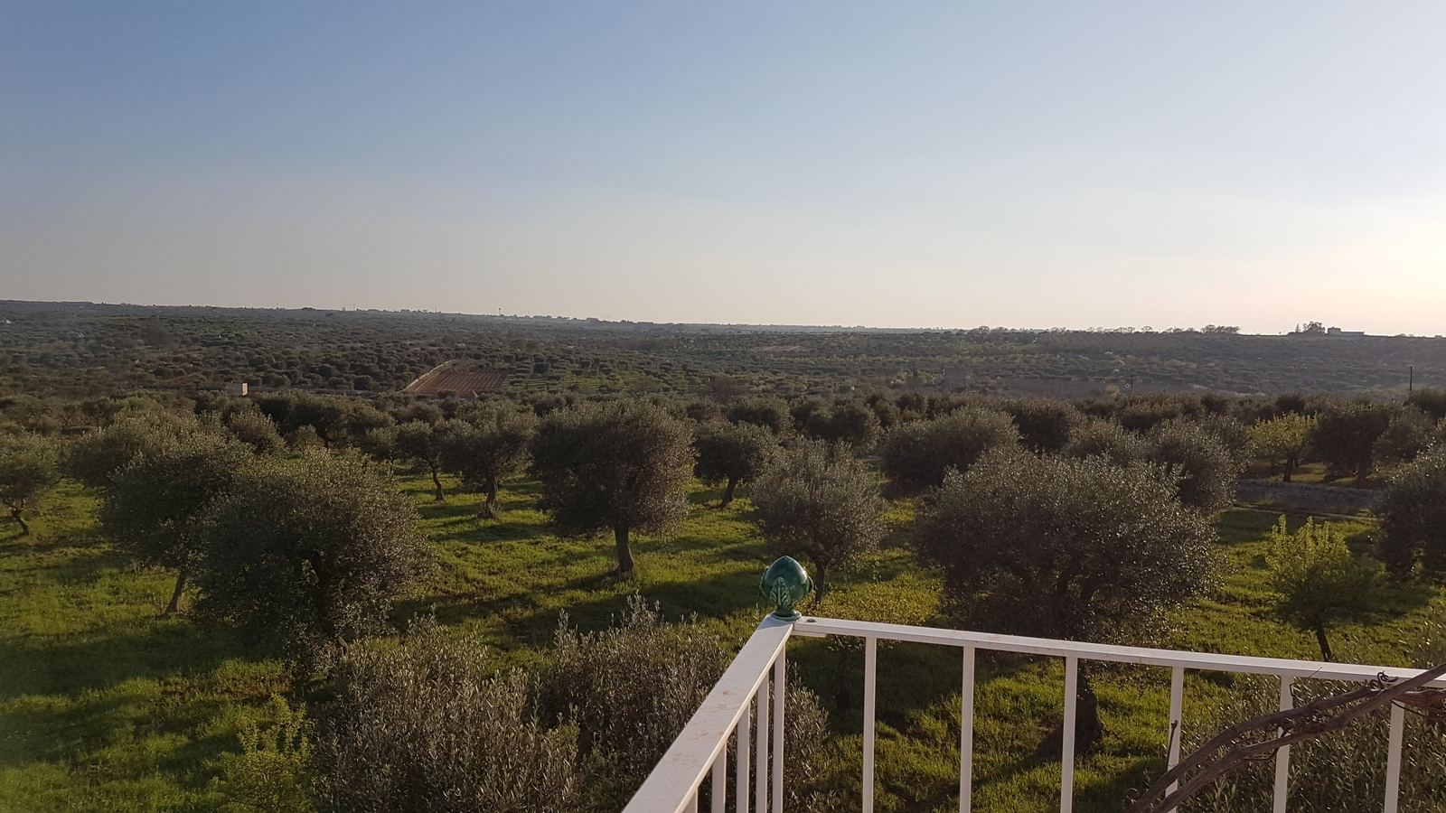 The countryside